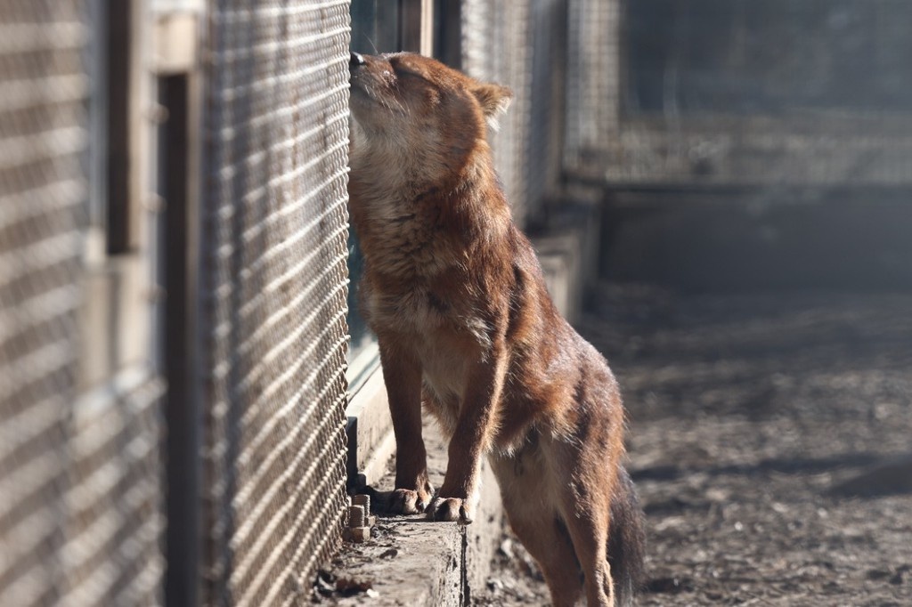    Фото © Анастасия Романова / Абзац