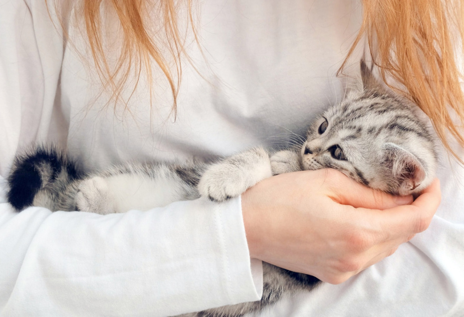    Shutterstock/FOTODOM