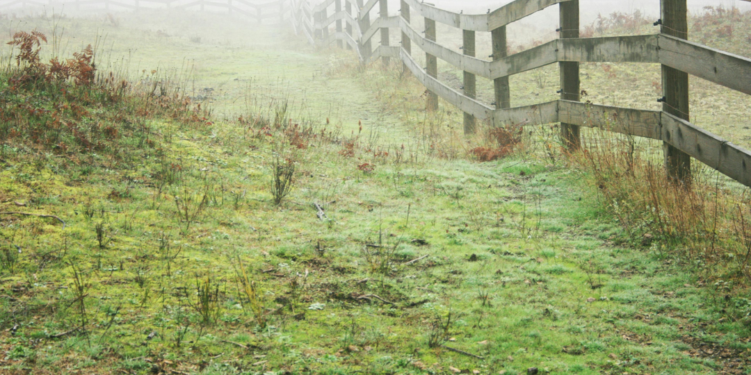 Владельцы частных домов даже могут не подозревать, за что их может оштрафовать Росреестр