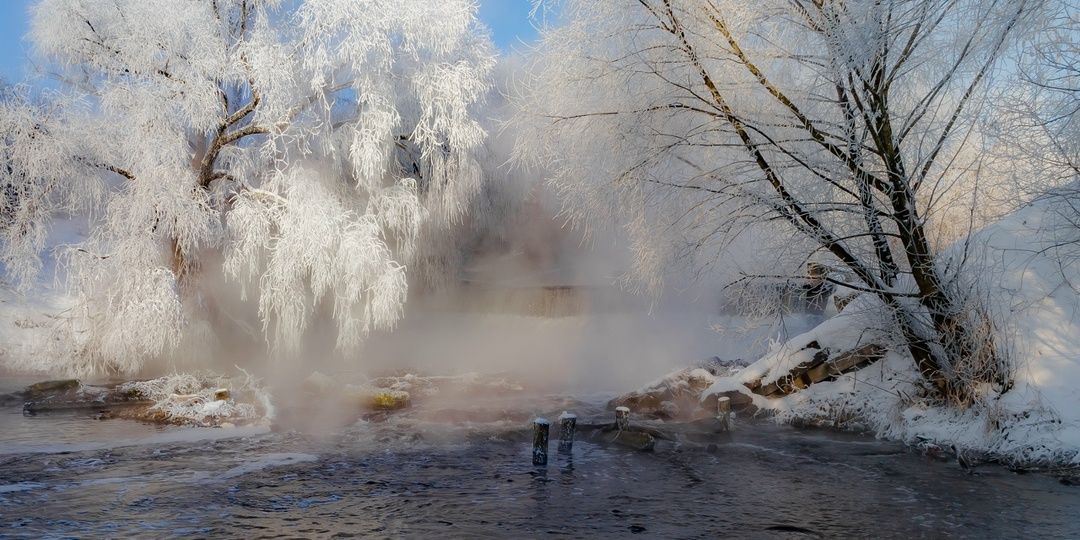 Рыжая ведьма.