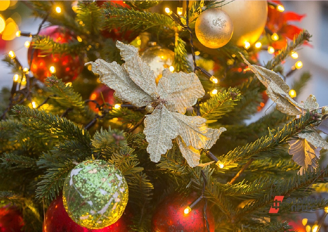 В Саранске можно купить живую елку с 9 утра до 9 вечера.  Фото: ФедералПресс / Вытольский Виктор