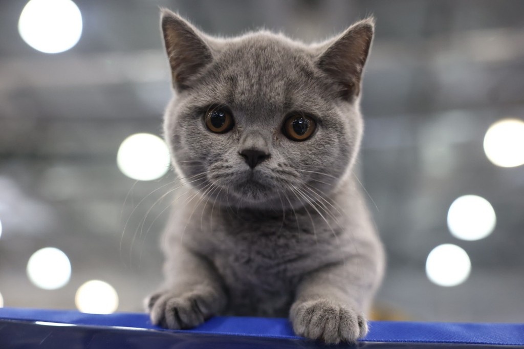    Фото © Владимир Андреев / Абзац