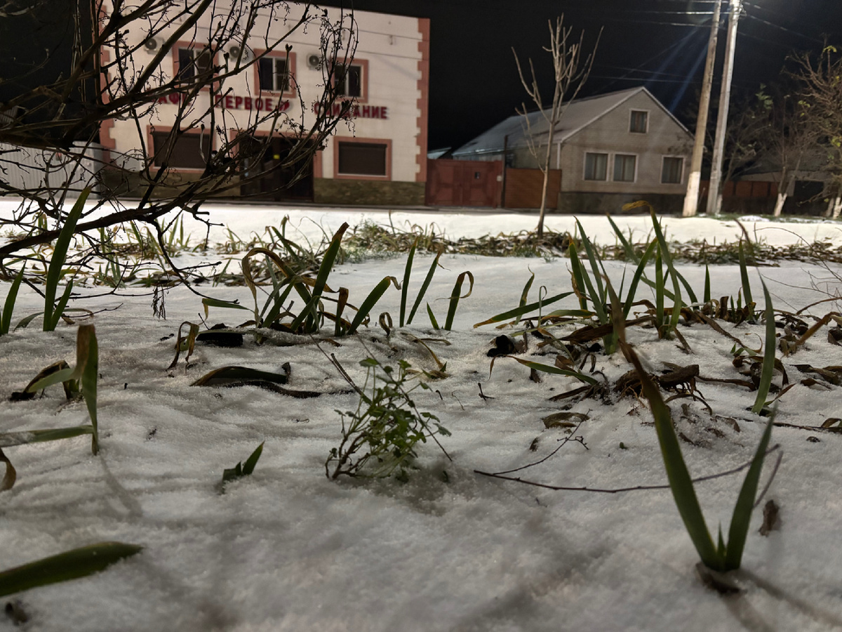 Как мало для счастья-то надо! Просто СНЕГ зимой! 