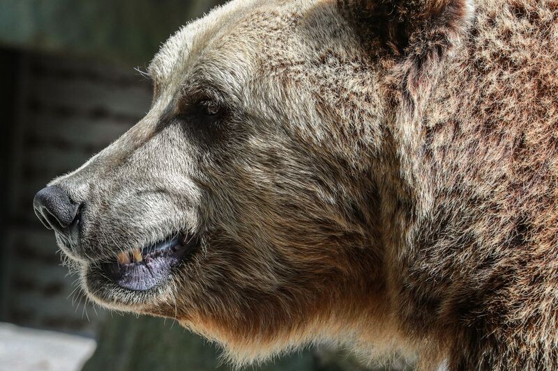    Сергей Булкин/NEWS.ru