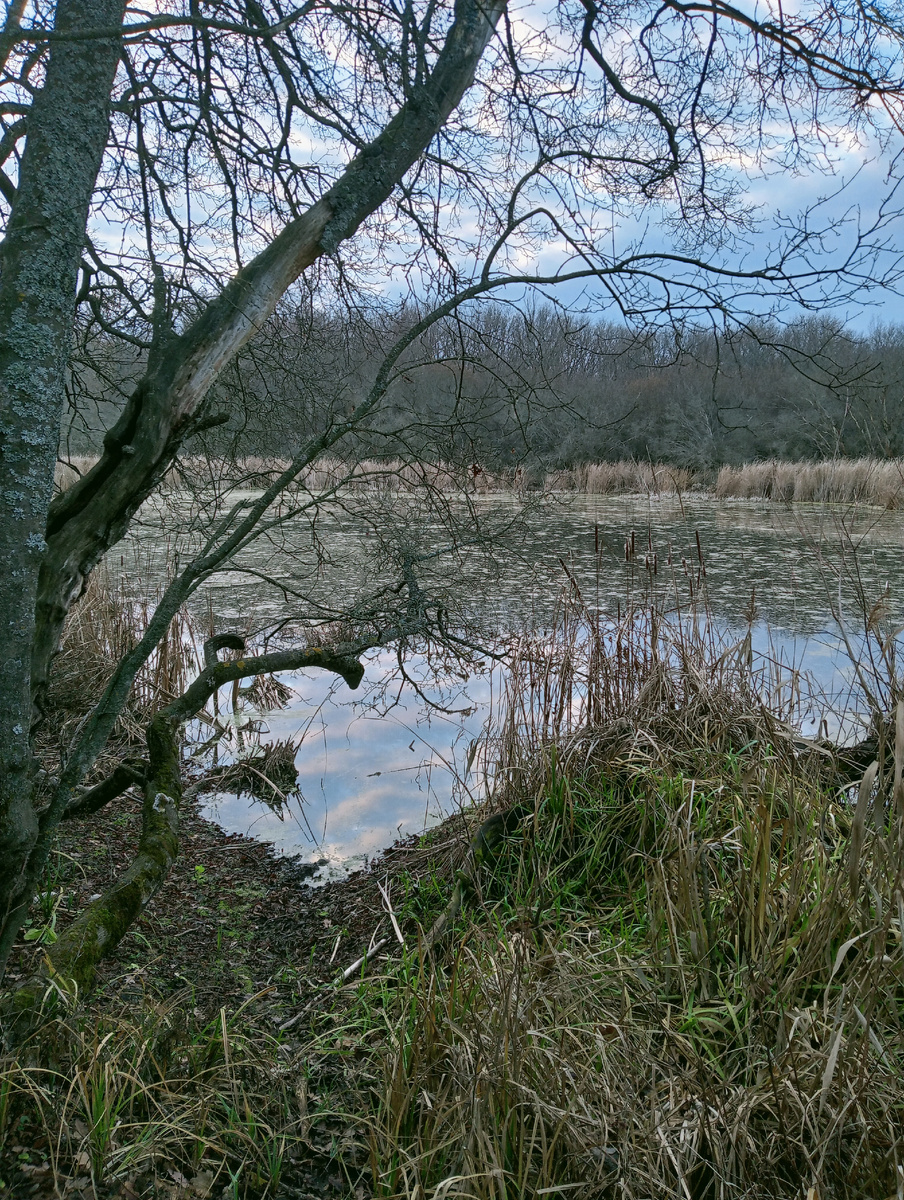 Барская Яма