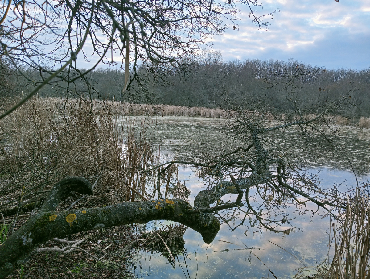 Барская Яма