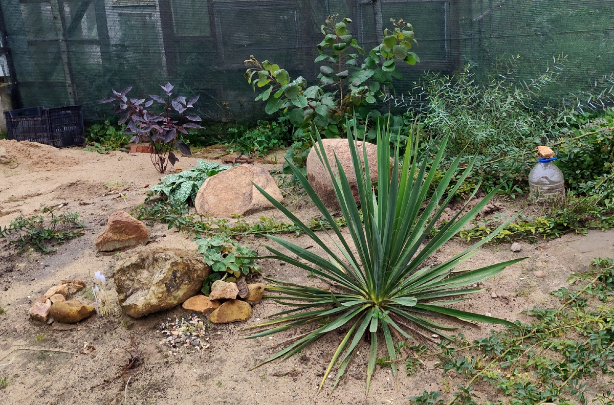 середина октября 2025год