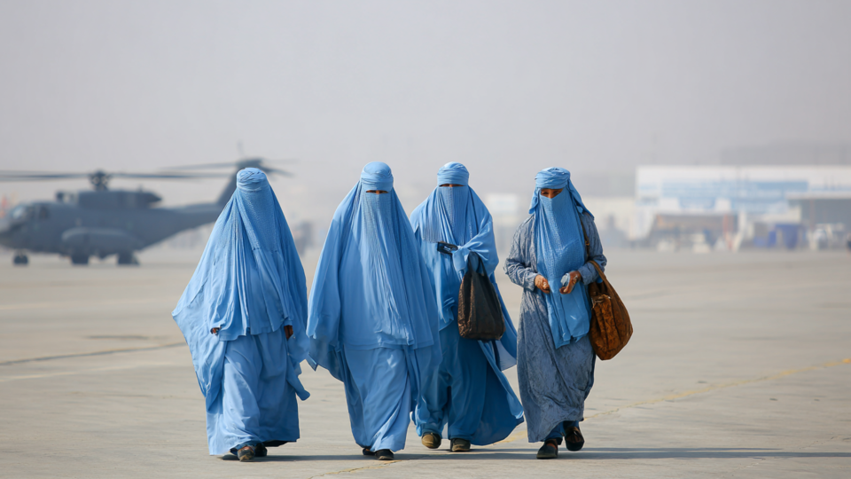 Фото: © РЕН ТВ