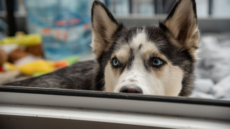    телеканал "Санкт-Петербург" / АО "ГАТР"