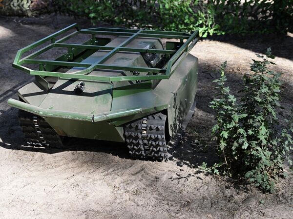    © РИА Новости Евгений Биятов