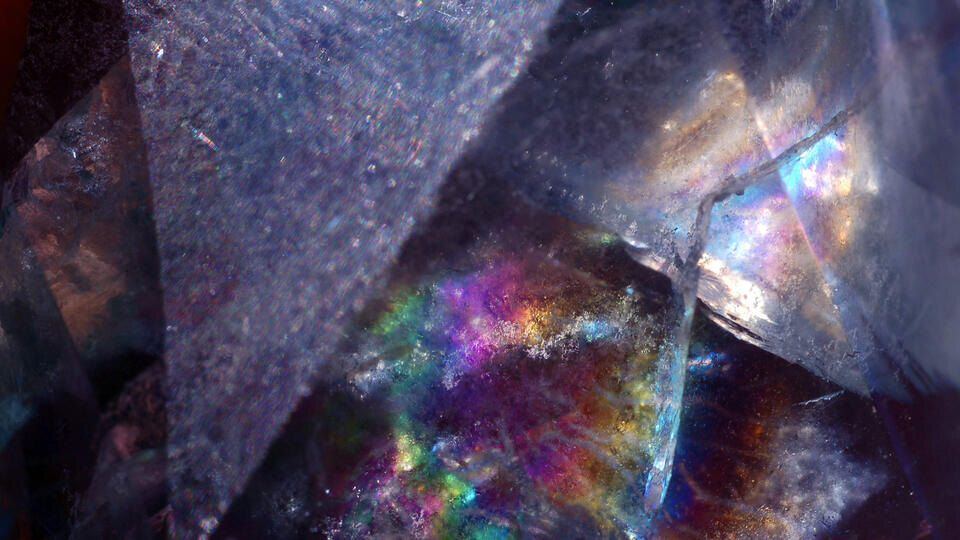 Фото: © www.globallookpress.com/blickwinkel 