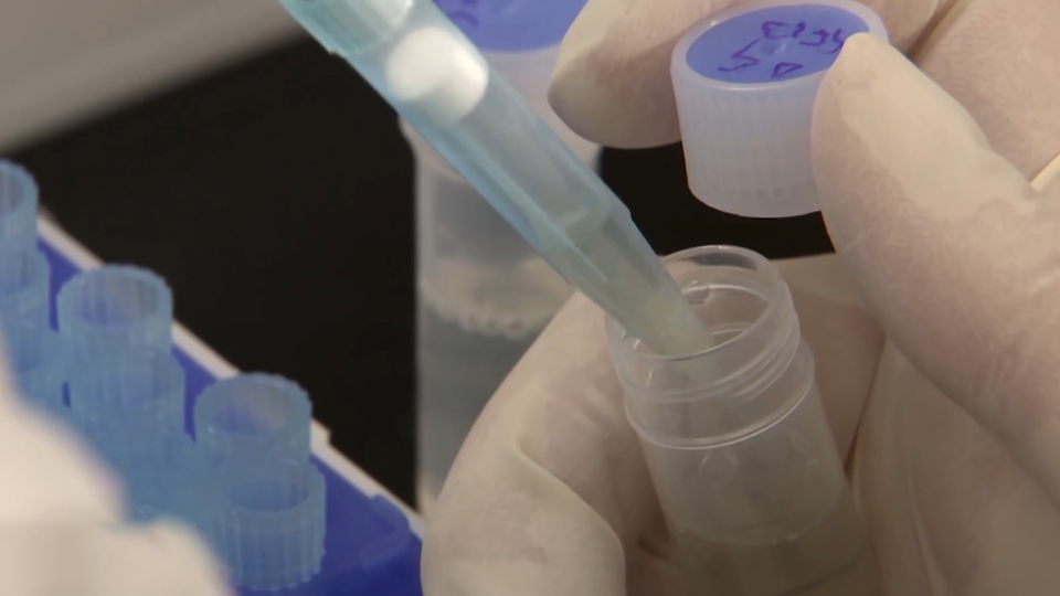 ФОТО: Кадр из программы "Загадки человечества", РЕН ТВ