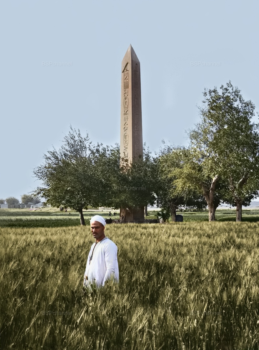 Фотография из коллекции Г. Эрика и Эдит Мэтсон