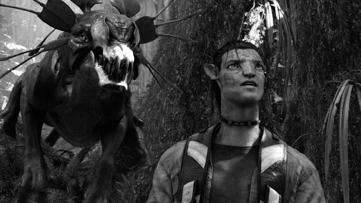 Источник: wegotthiscovered.com