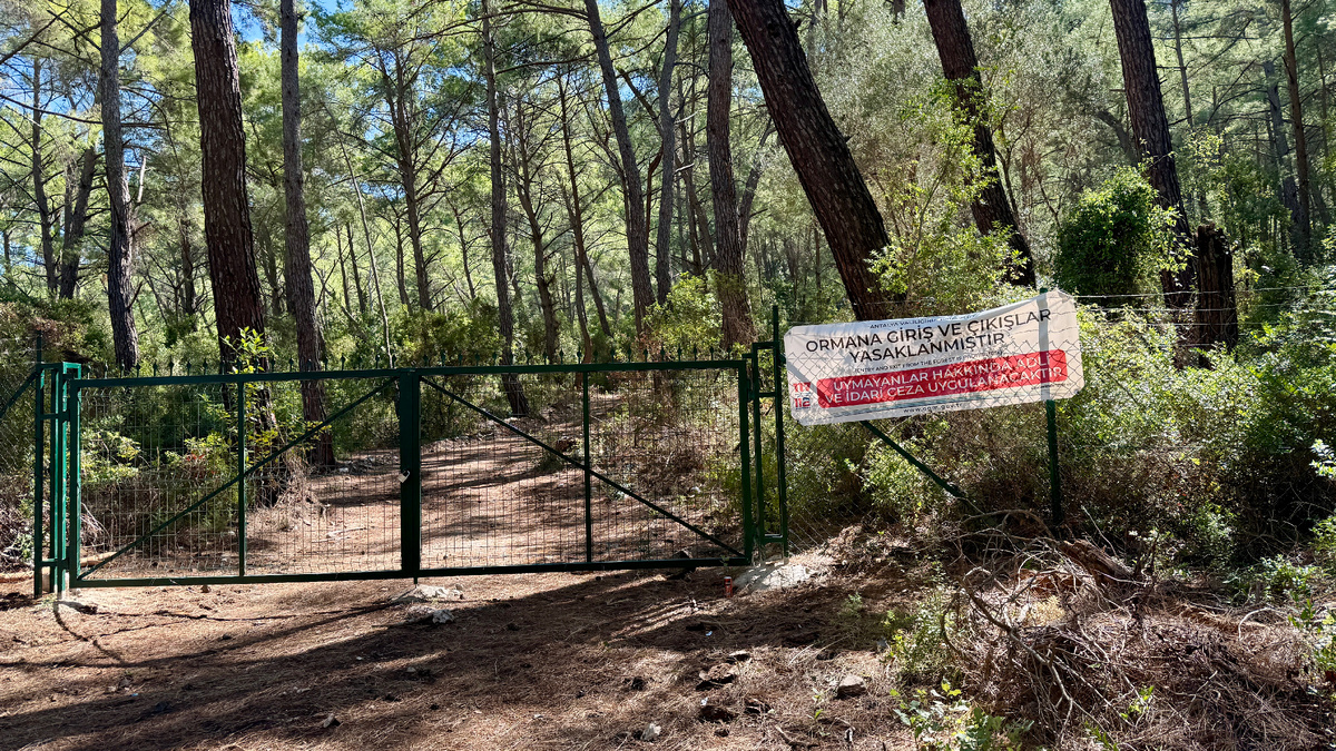 Точка старта