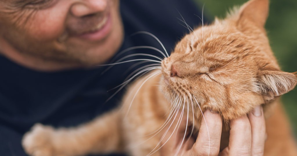 ⭐️⭐️⭐️ Ученые выяснили, что питомцы чаще «разговаривают» при встрече с мужчинами