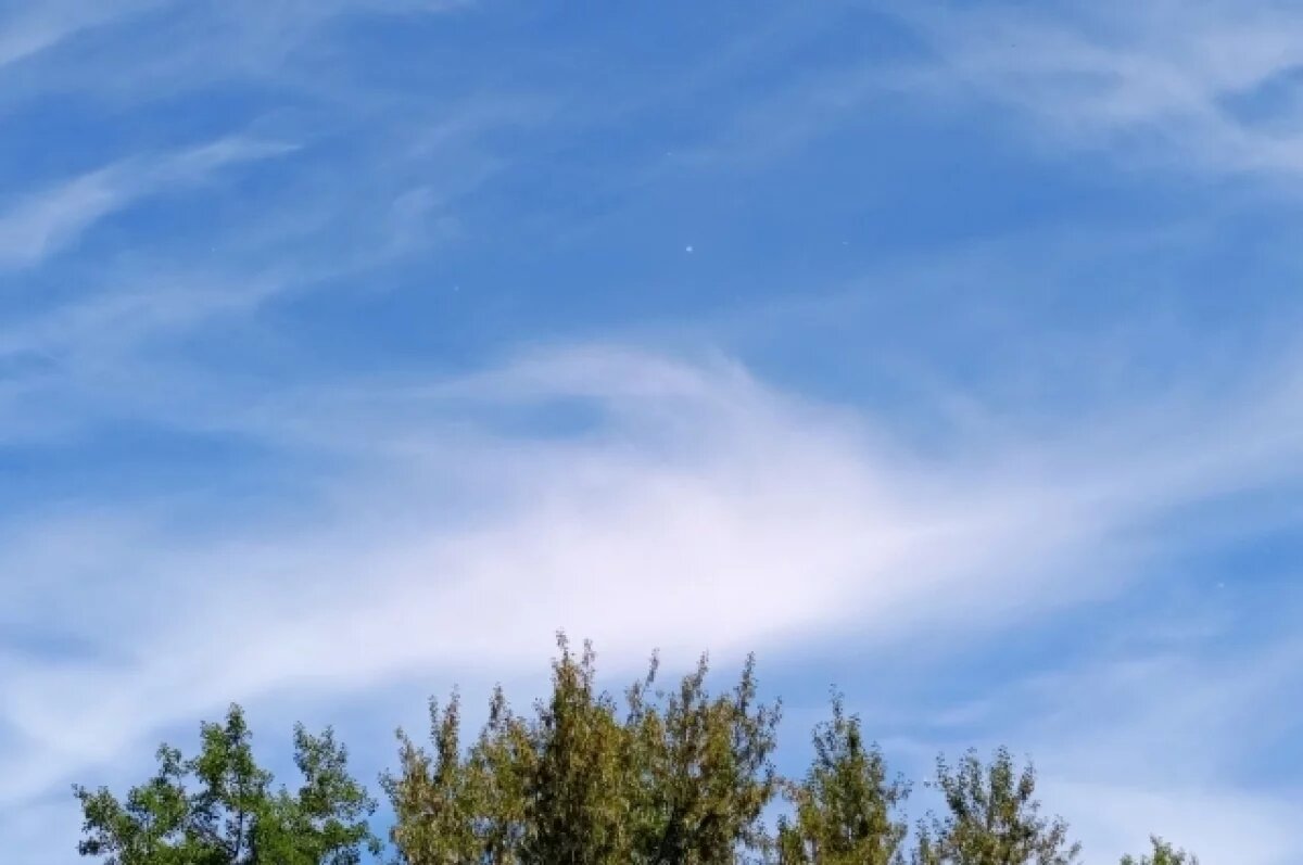    В Тульской области 11 декабря уничтожили ещё два беспилотника