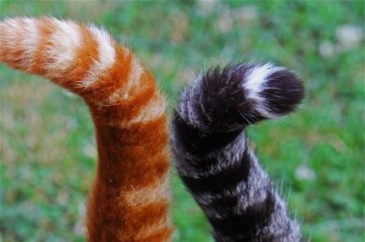 Незавершенные процессы имеют обыкновение путаться под ногами. Или мягко обвивать.