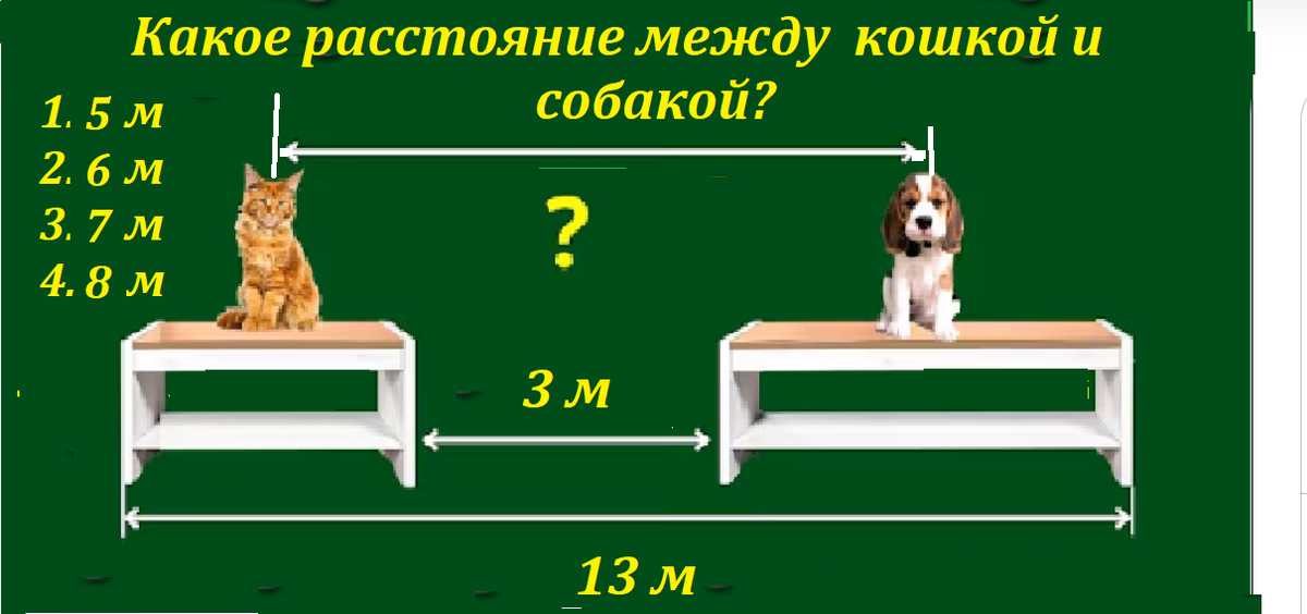 кошка и собакаТЕСТМАС.png
