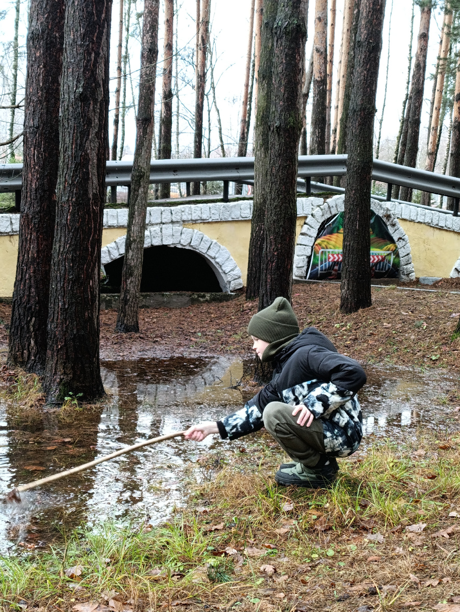 Просто фото(фото автора). 