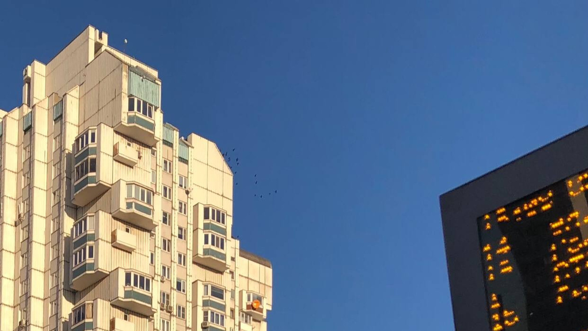     Антон Меньшиков/«Постньюс»