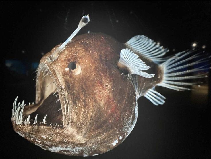 Взято (Pinterest)