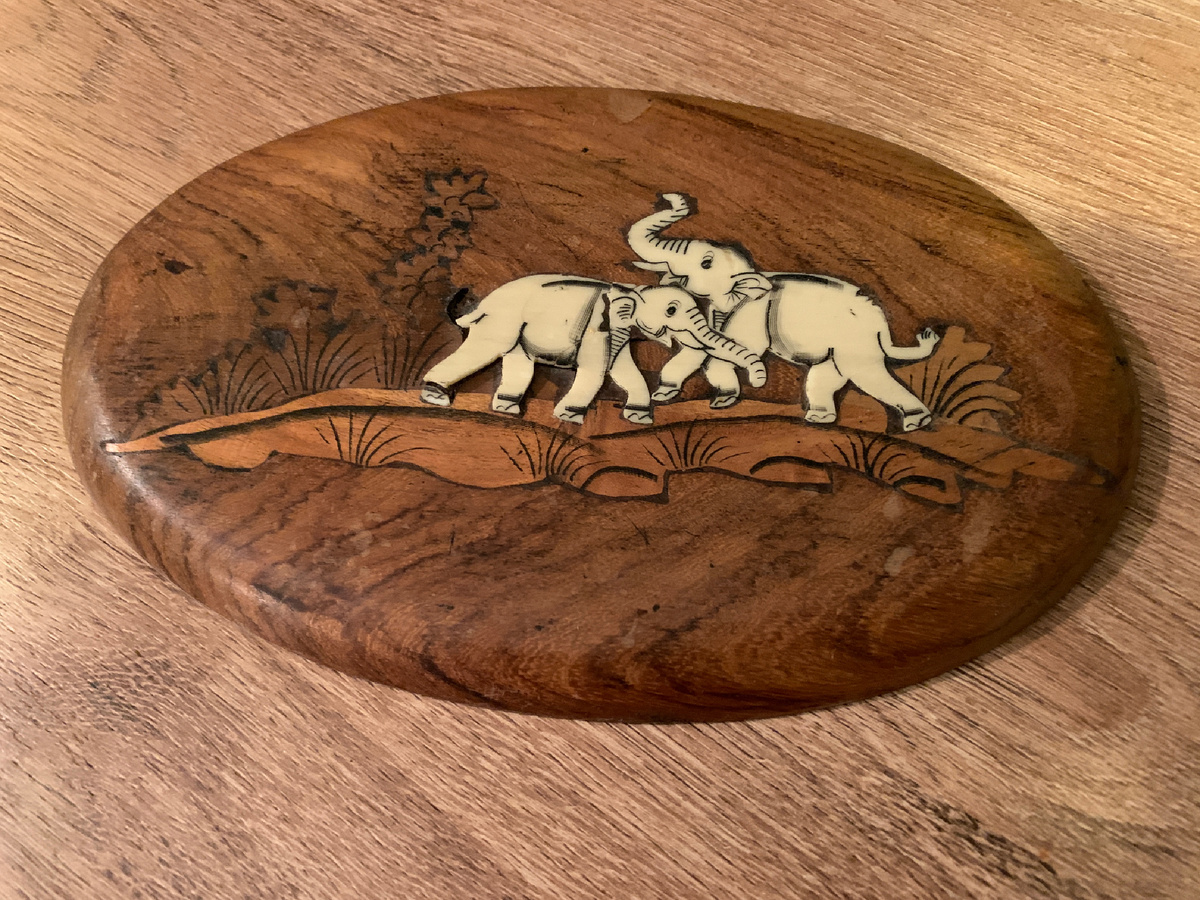 Руководитель группы  зафиксировал на фотоаппарат Поиски меою либо мыла, либо "кармен"