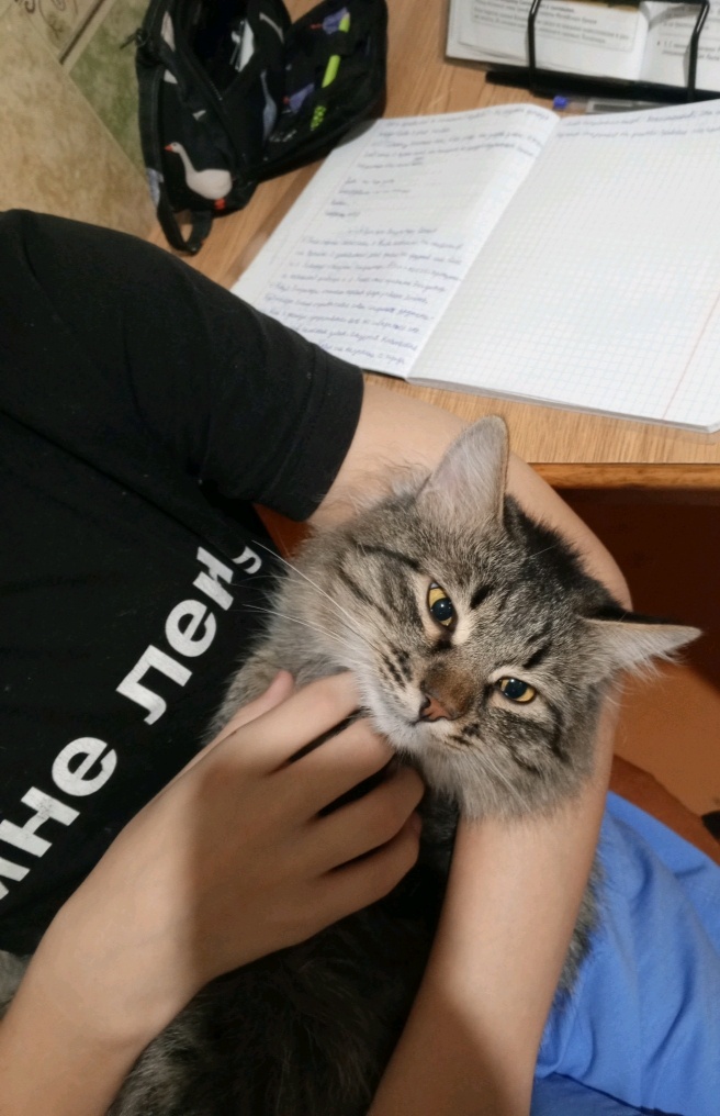 Ещё Руси с нами был, помогал морально с историей, такой пушистый антистресс 😁