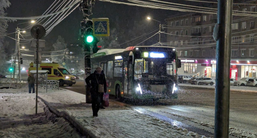    Фото: progorod43.ru