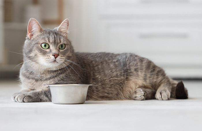    Pixel_shot/Фотобанк Лори