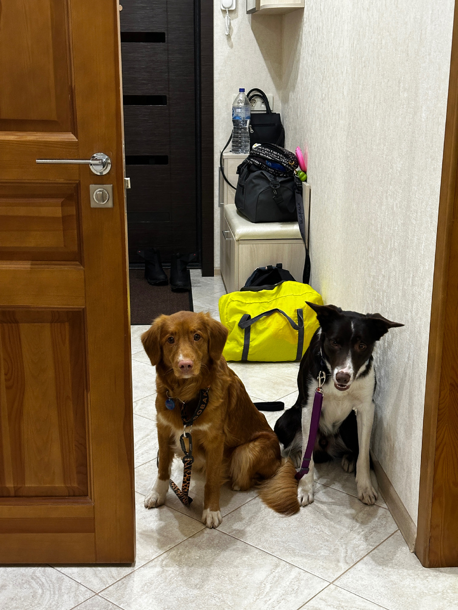 Флёр и Баффи 