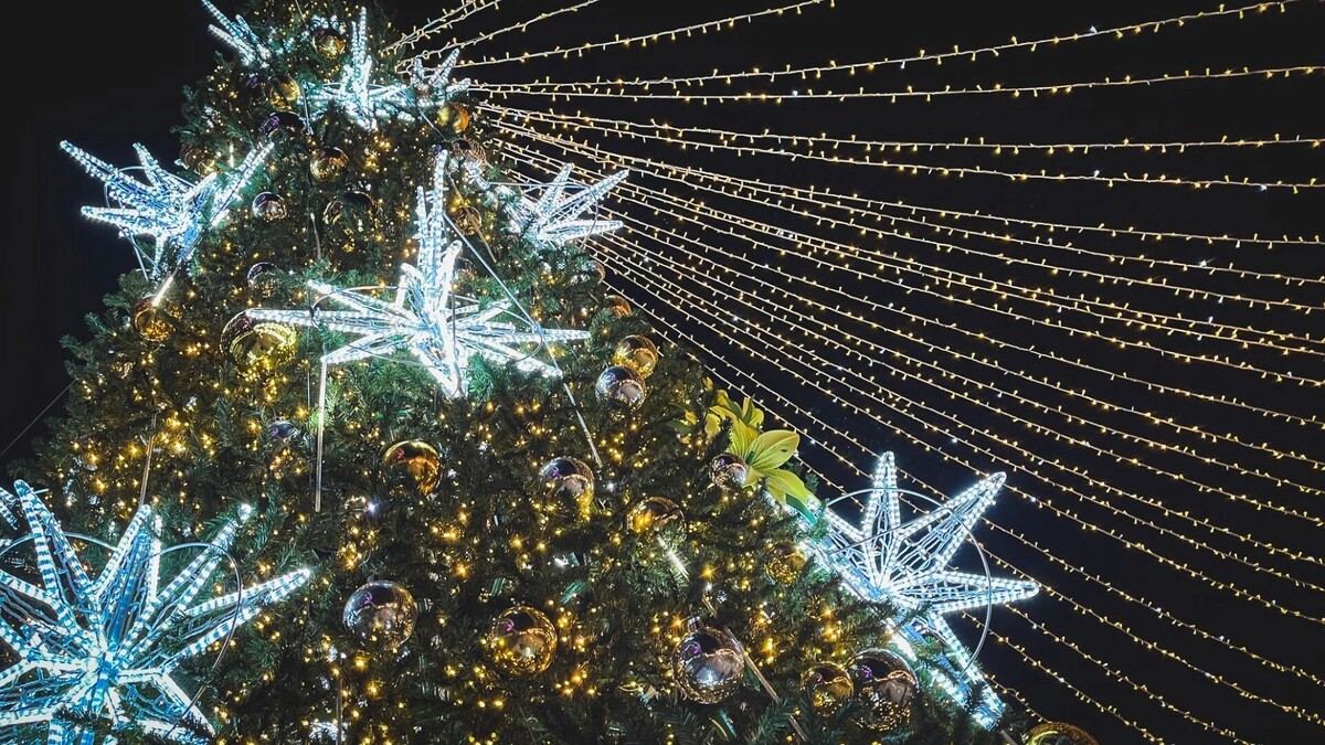     Источник: 1MI