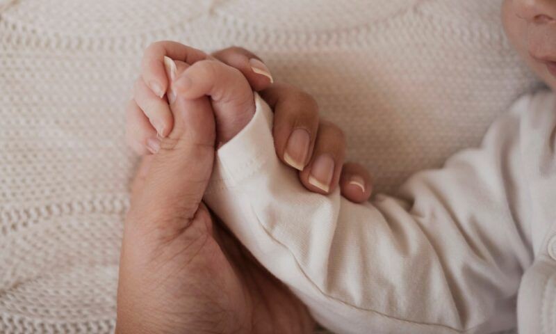    Фото freepik.com