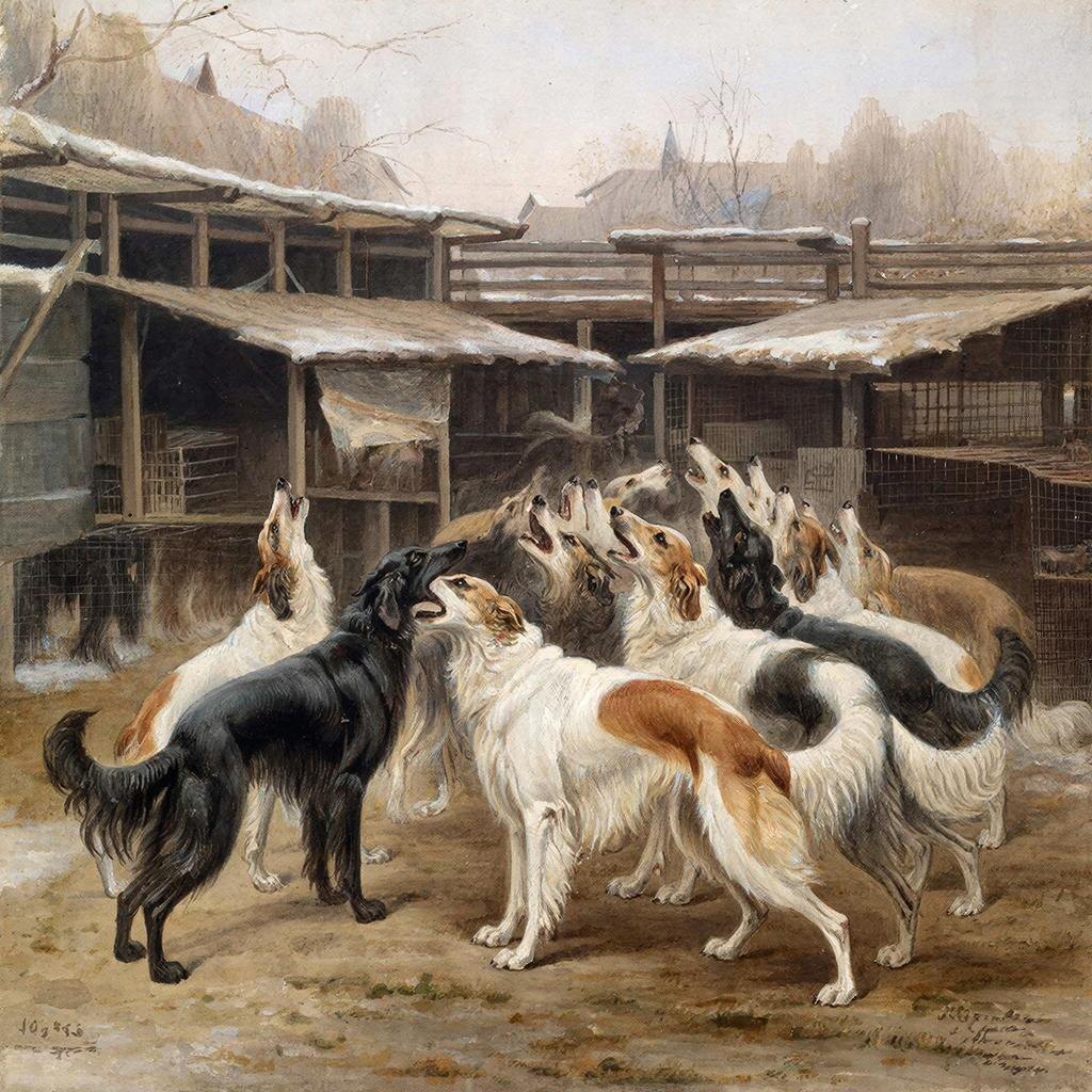 Полсотни борзых чуют кровь и начинают вой, от которого мурашки по коже