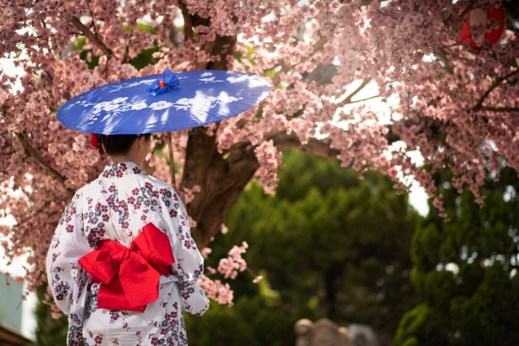 🌸 Секрет счастья по-японски: икигай