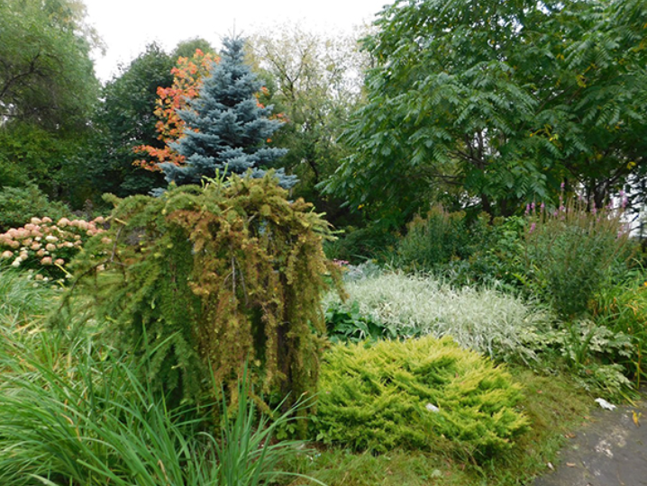    Харитоновский парк Мария Михайлова