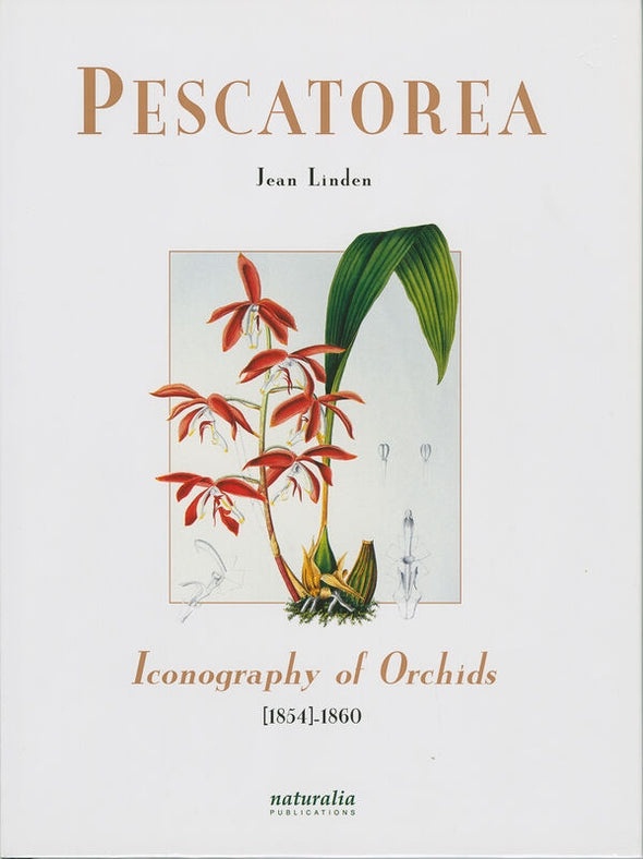 Pescatorea – Иконография орхидей 1854–1860 гг., Жан Линден. Фото: https://www.quaybooksstore.com/