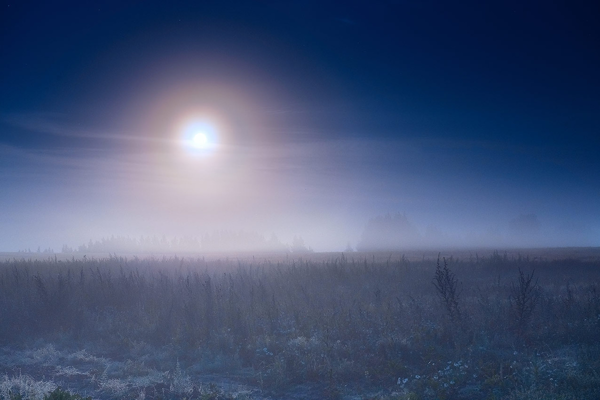 Фото Елены БЕЛОЗОРОВОЙ.