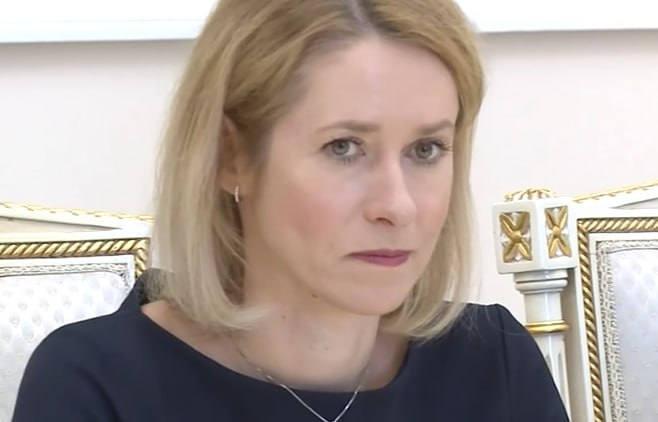 Фото: Prt Scr youtube.com / EU Debates