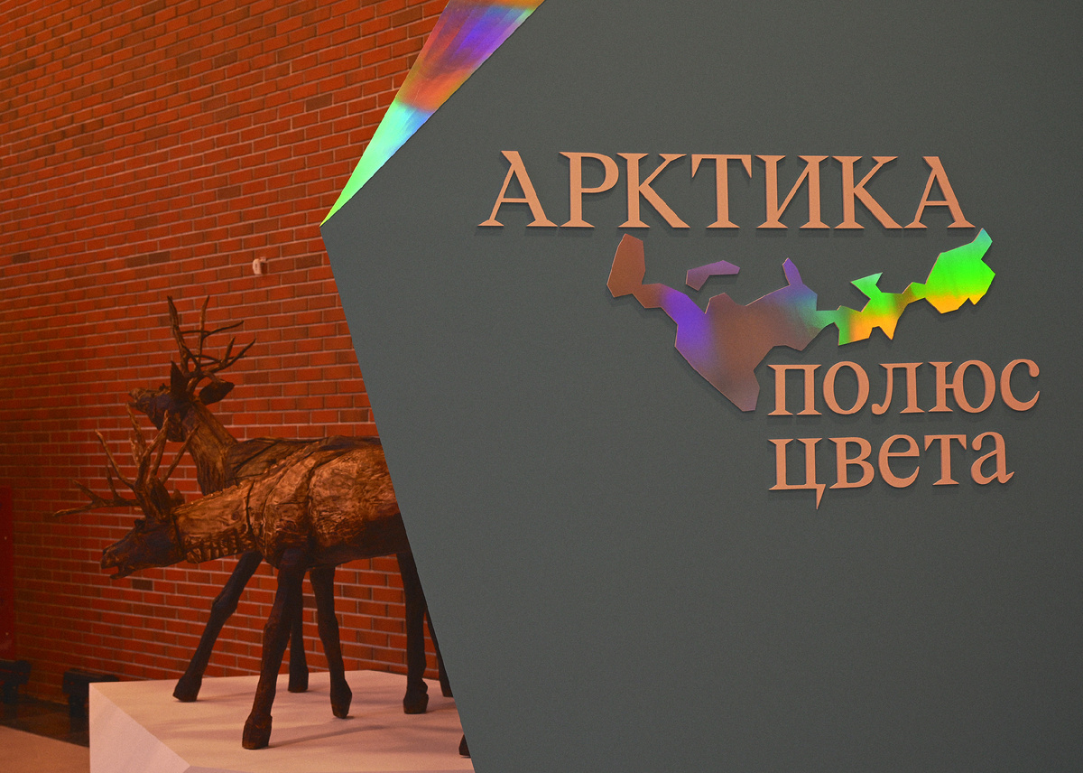 Выставка "Арктика. Полюс Цвета". Москва. Третьяковская галерея. Фото: Михаил Рябинин