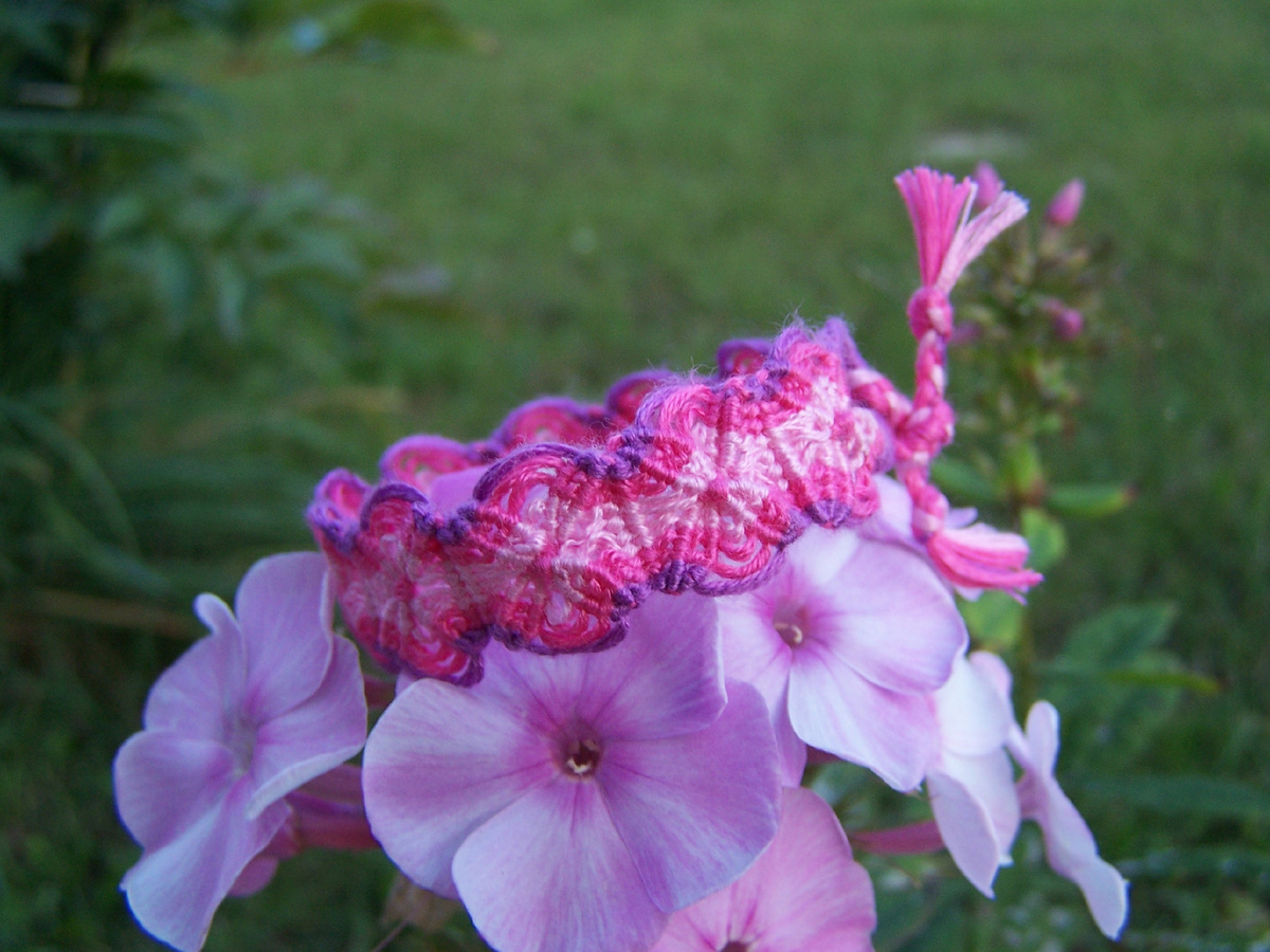 фото 2011-2012 гг.