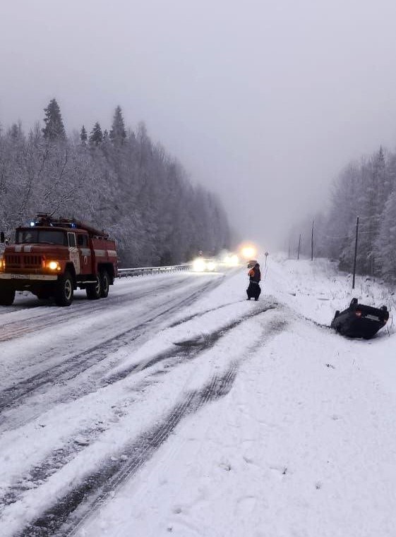    Фото: Госкомитет Карелии по ОЖ и БН