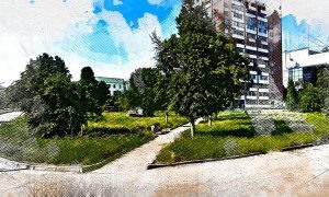 Фото: Яндекс Карты  📷
