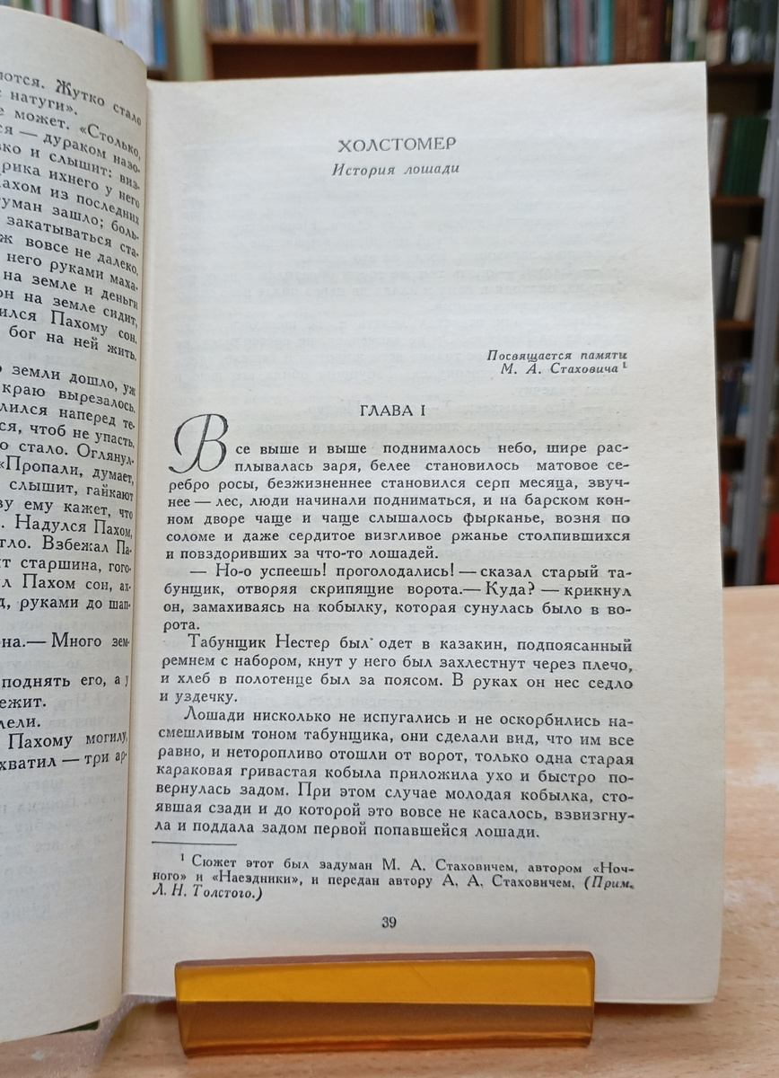 Фотография автора