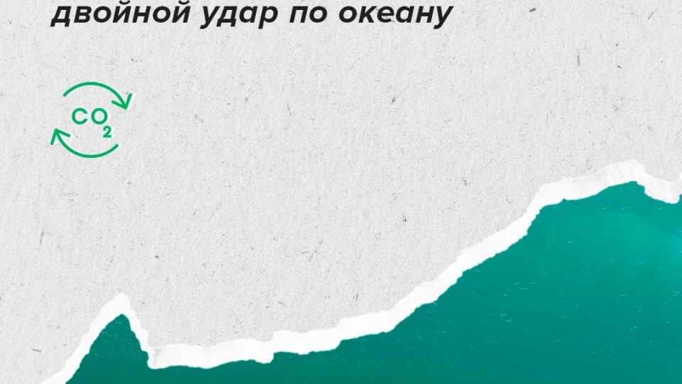 Выбросы CO₂ бьют рекорды