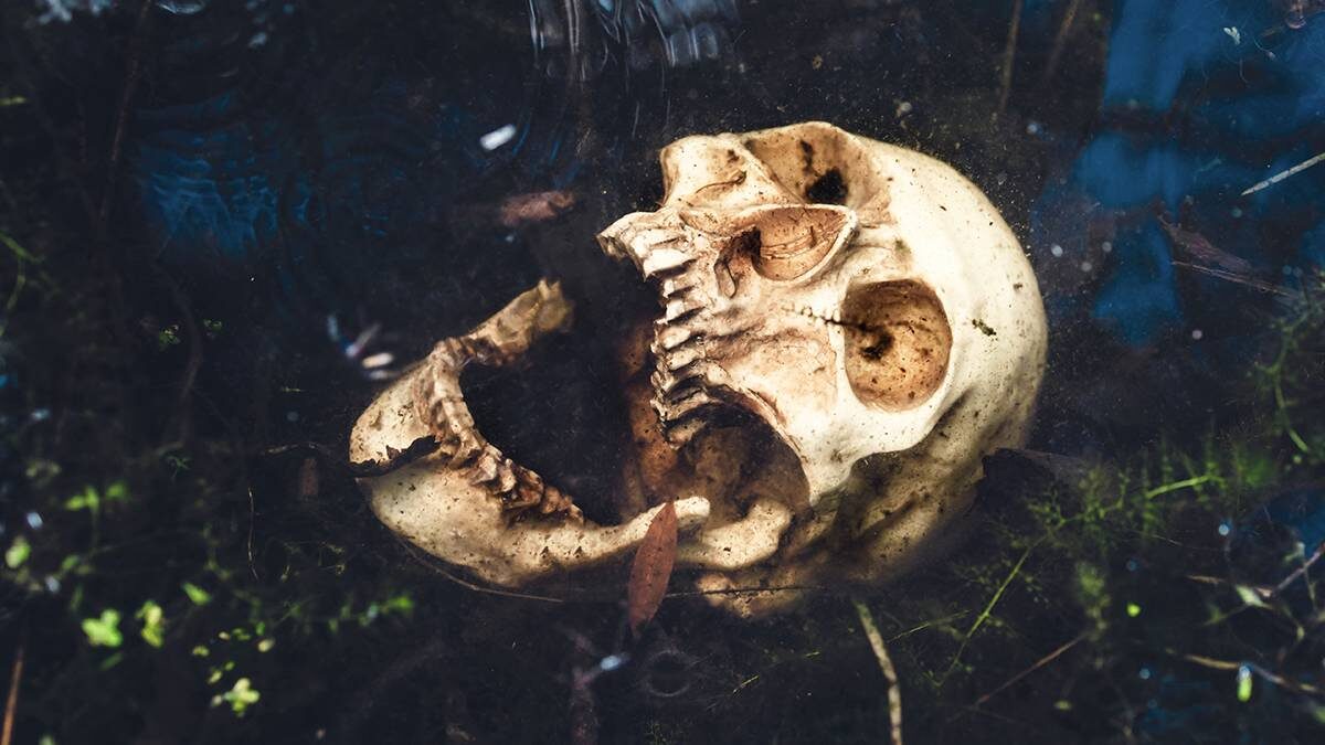    Фото: Shutterstock