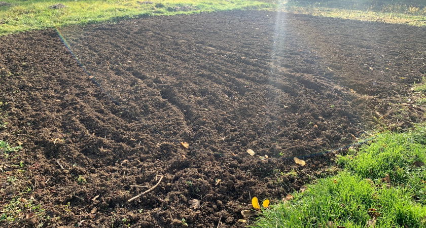    Фото: ПроГород