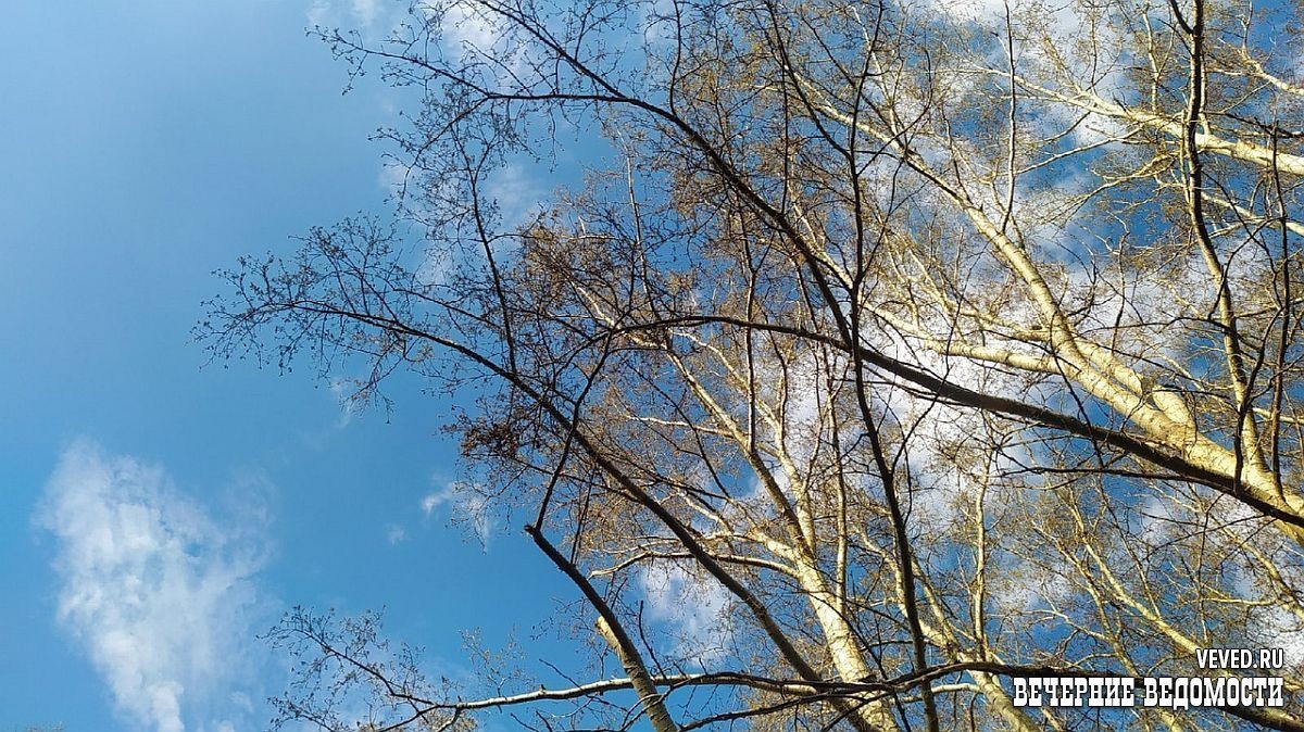     Фото: Юлия Кольтенберг / Вечерние ведомости