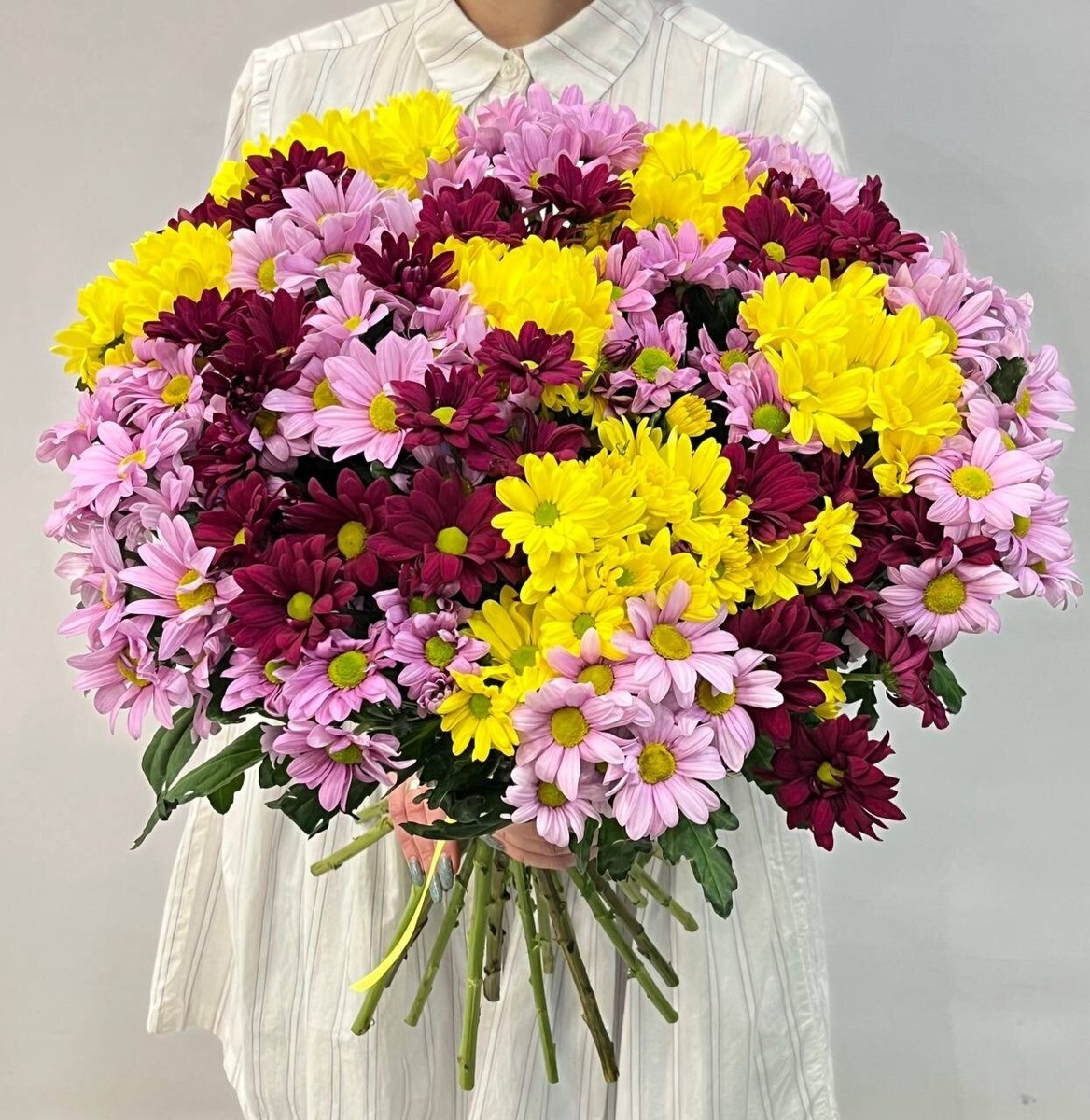 Выращивани хризантему из букета 