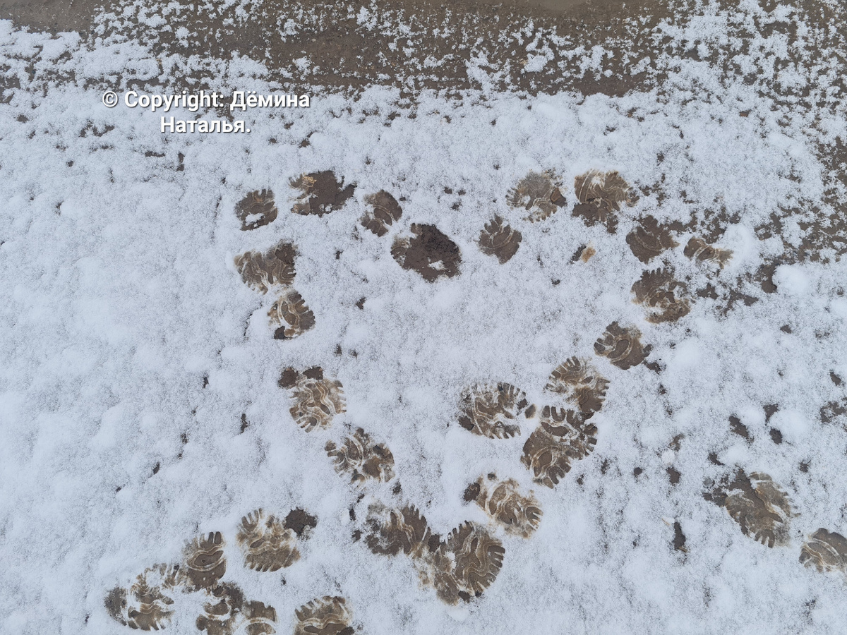 Из личного архива автора. 